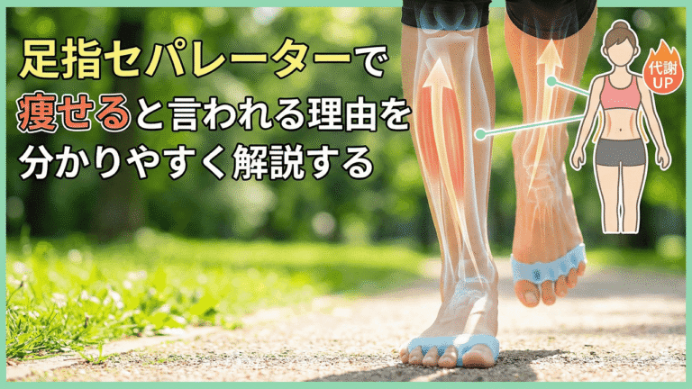 足指セパレーターで痩せると言われる理由を分かりやすく解説する