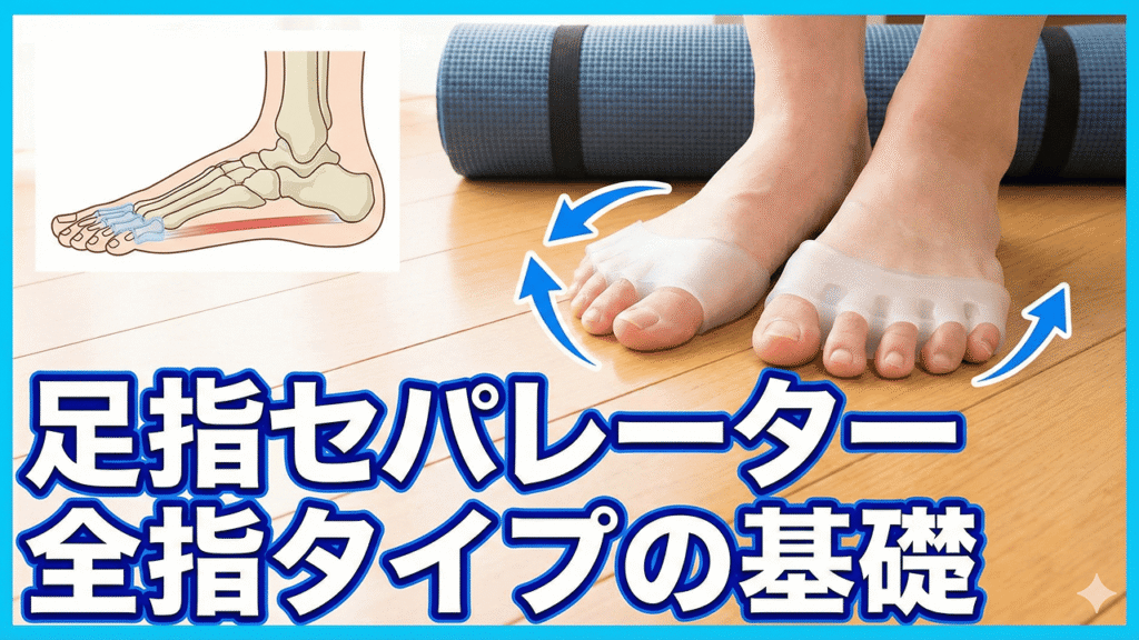 足指セパレーター全指タイプの基礎